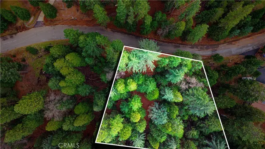 5435 Pine Ridge, Grizzly Flats, CA 95636 - #2