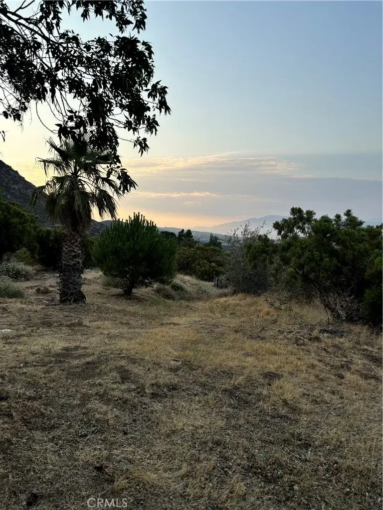 45475 Chapman, Anza, CA 92539 - #3