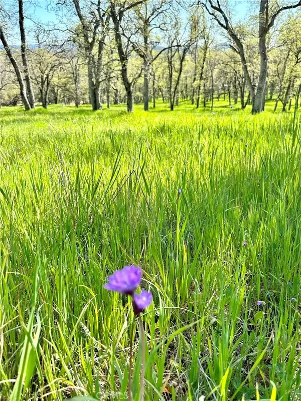 18461 Old Wards Ferry Road, Sonora, CA 95370