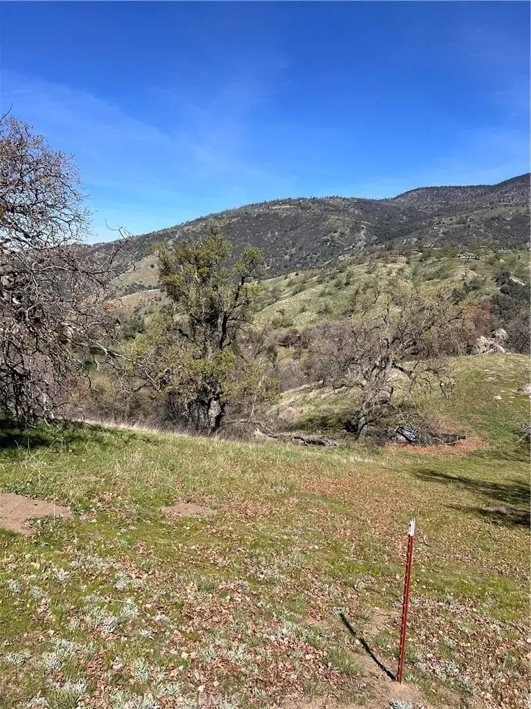 24200 Canyon Court, Tehachapi, CA 93571 - #2