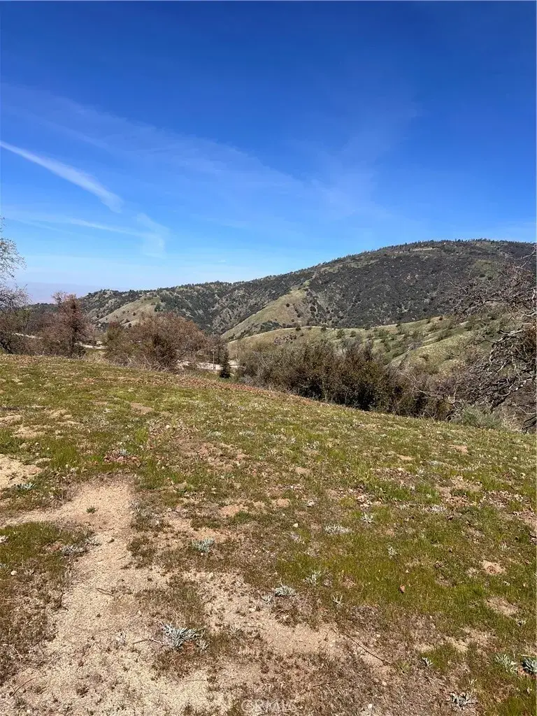 24200 Canyon Court, Tehachapi, CA 93571 - #3