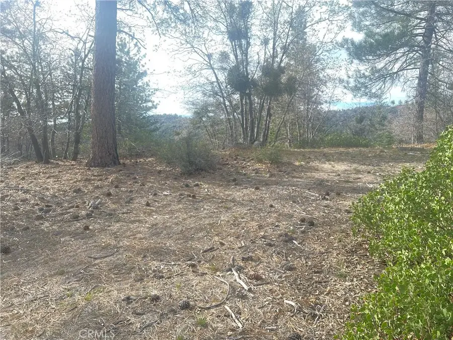 0 Hardy, Running Springs, CA 92382 - #2