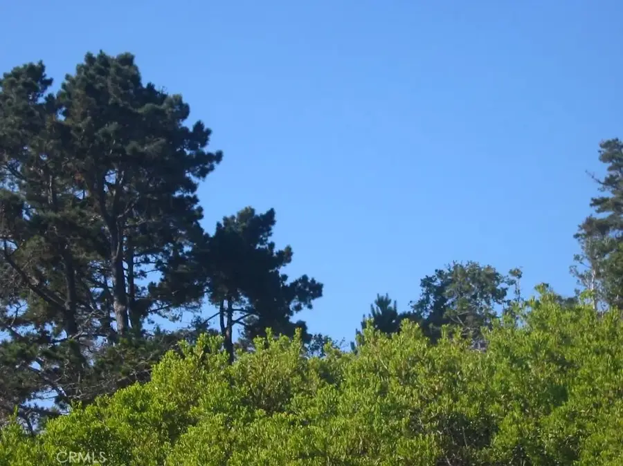195 Spindrift, Carmel Highlands, CA 93923 - #3