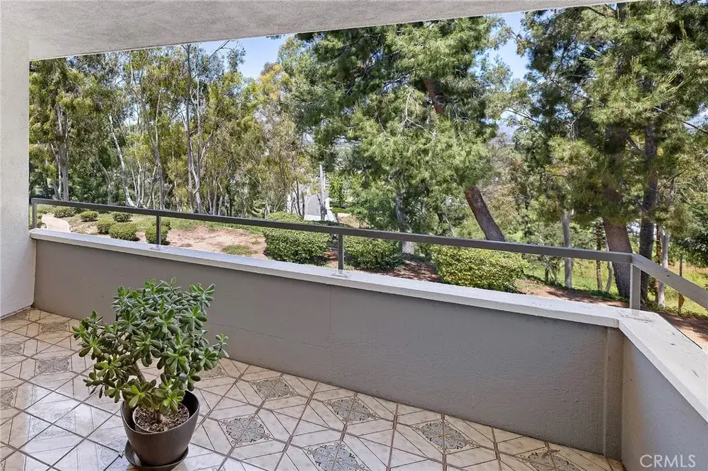 22342 Caminito Escobedo, Laguna Hills, CA 92653 - #1