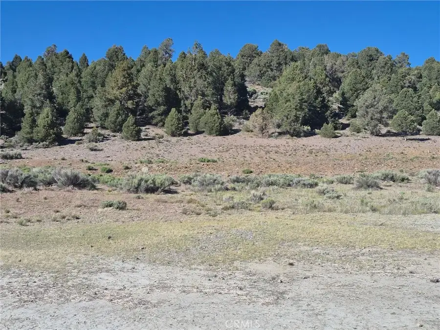 2787 Erwin Ranch, Big Bear City, CA 92314 - #2
