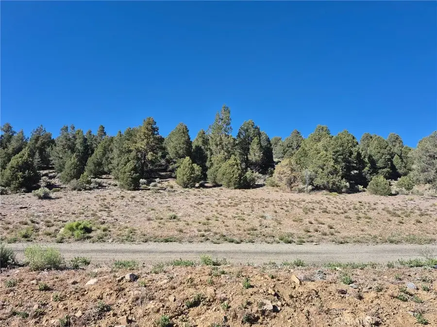 2787 Erwin Ranch, Big Bear City, CA 92314 - #3