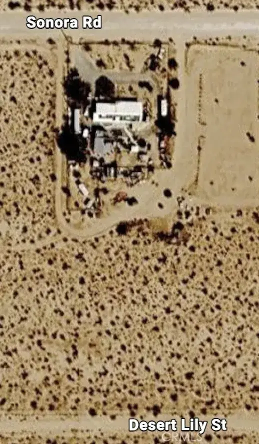 0 Desert Lily, Joshua Tree, CA 92252 - #2