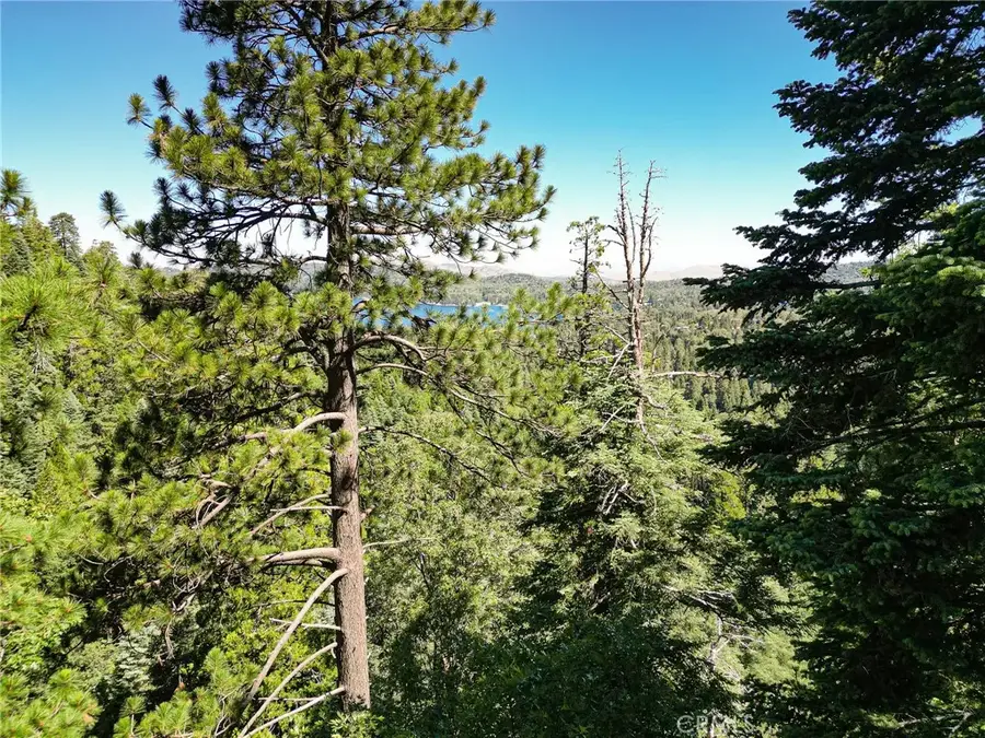 746 Blue Ridge, Cedar Glen, CA 92385 - #2