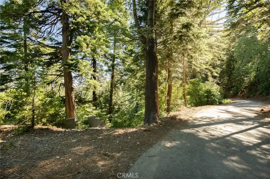 746 Blue Ridge, Cedar Glen, CA 92385 - #3