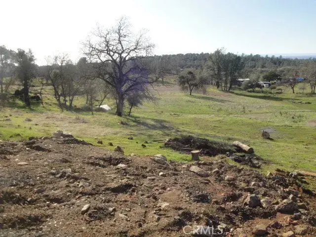 0 Old Olive, Oroville, CA 95966 - #2