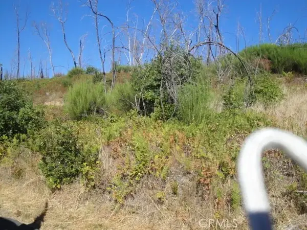 0 Meadow, Berry Creek, CA 95916