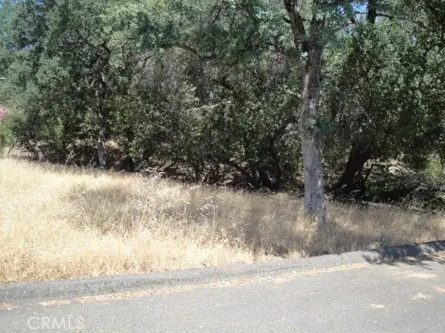 586 Silver Leaf, Oroville, CA 95966 - Image #2