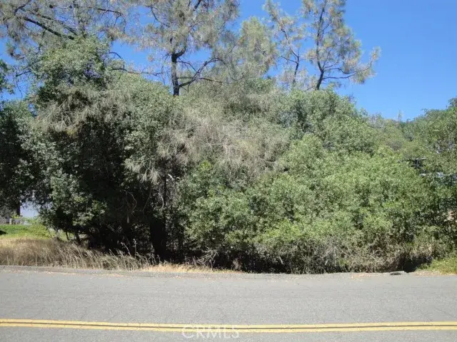 586 Silver Leaf, Oroville, CA 95966 - Image #3