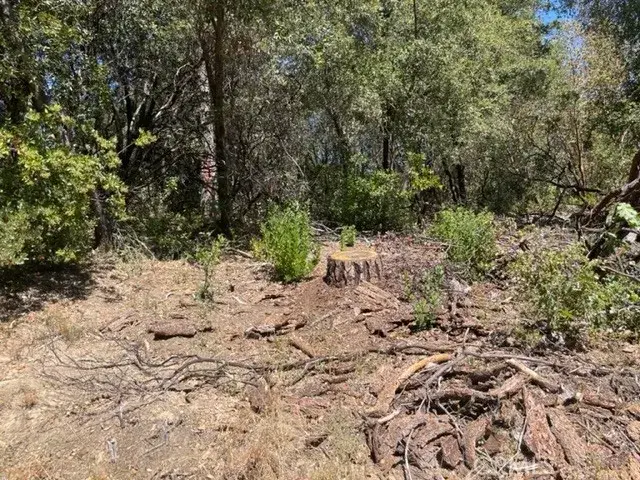 10 Broken Springs, Oroville, CA 95966 - Image #3