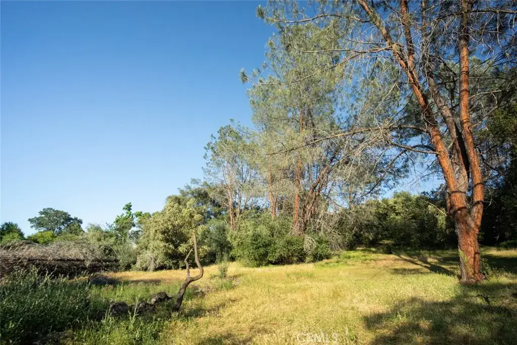 0 Pinedale, Oroville, CA 95966 - #1