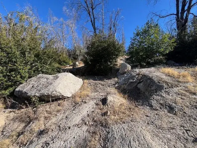 80 Oak, Berry Creek, CA 95916 - Image #3