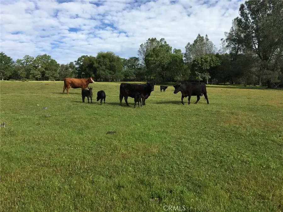 1484 Oregon Gulch, Oroville, CA 95965 - #3