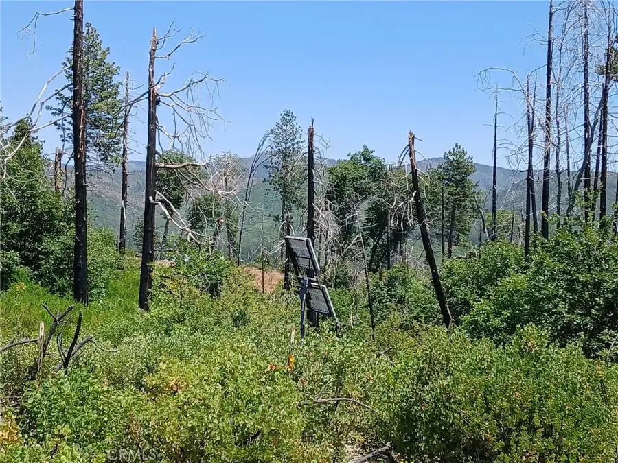 13392 Hog Ranch, Oroville, CA 95965 - Image #2