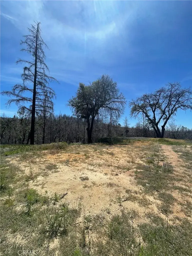 180 Mirage Lake, Berry Creek, CA 95916 - #3