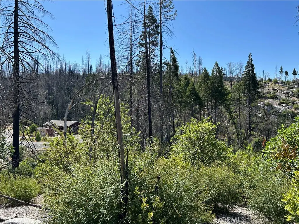 0 Oak, Berry Creek, CA 95916 - Image #1