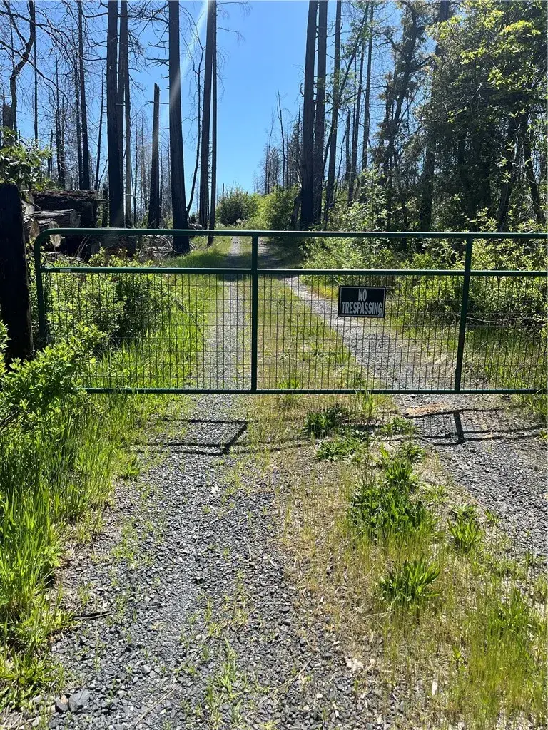 104 Rockerfeller, Berry Creek, CA 95916 - Image #2