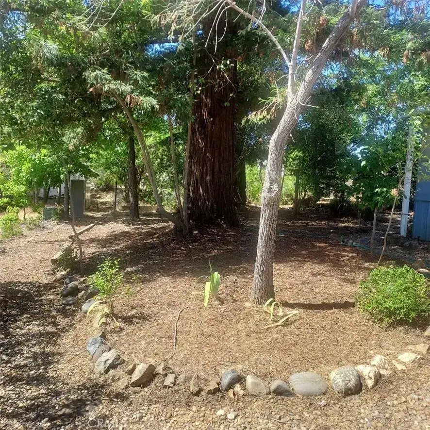 136 Oak Grove, Oroville, CA 95966 - Image #3