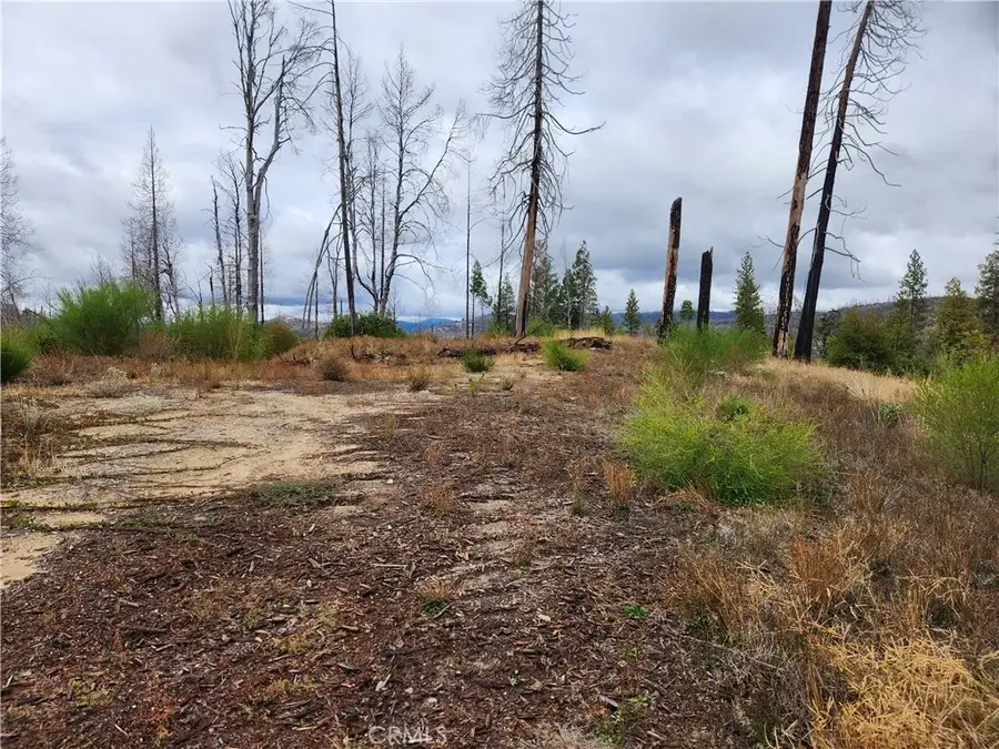 1103 Bald Rock, Berry Creek, CA 95916 - Image #2