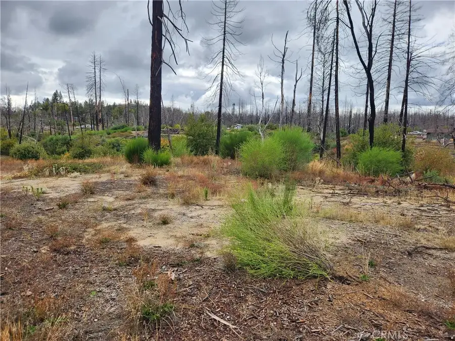 1103 Bald Rock, Berry Creek, CA 95916 - Image #3