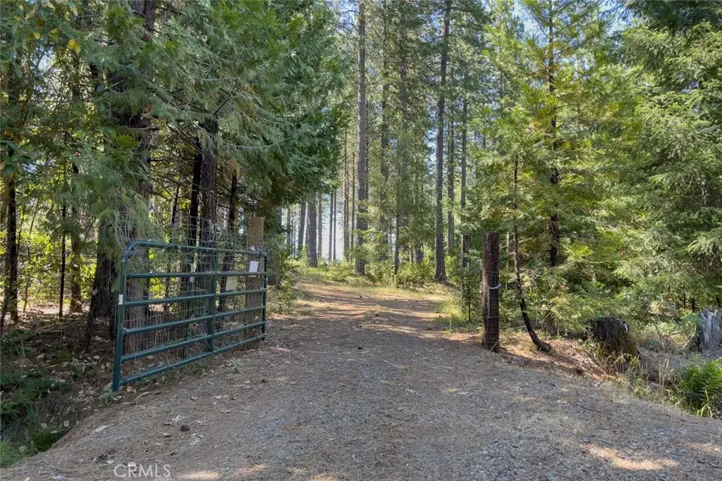 0 Forbestown Rd, Forbestown, CA 95941 - #1