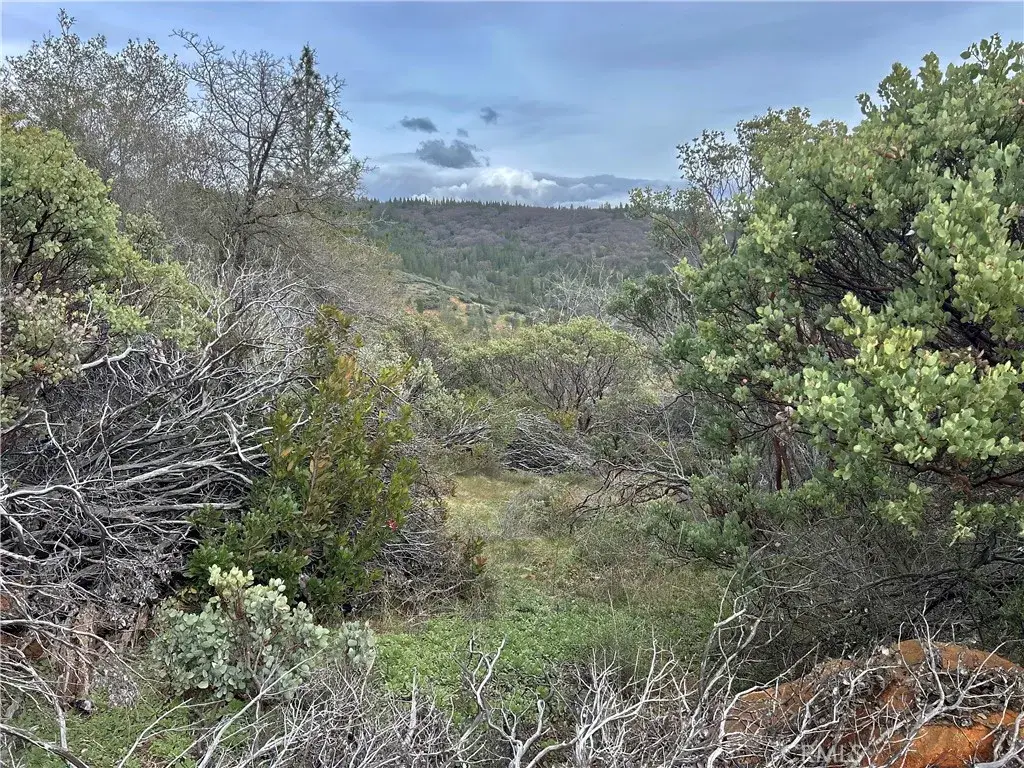 0 Top View, Oroville, CA 95966 - Image #1