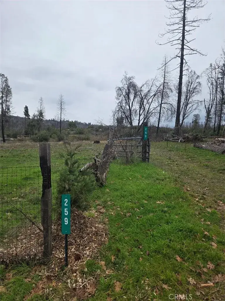 259 Rockerfeller, Berry Creek, CA 95916 - #3