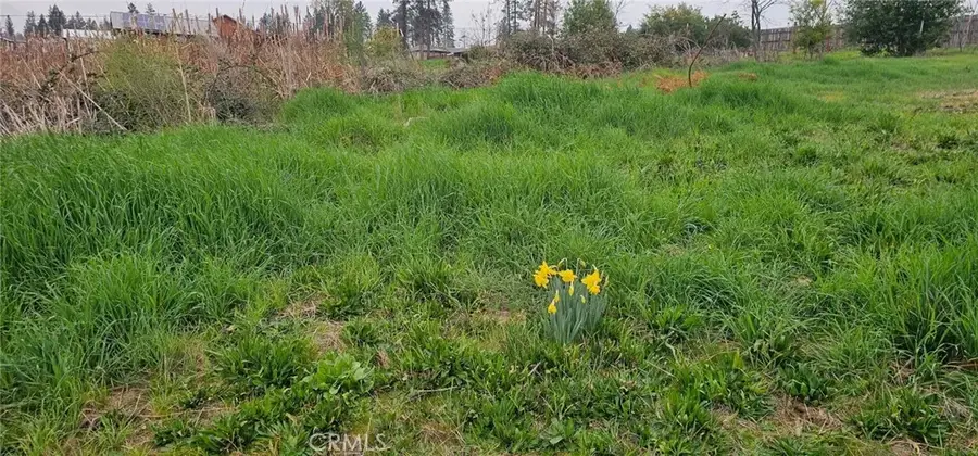 5832 Ingalls, Paradise, CA 95969 - #2