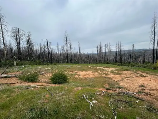 83 Oak Tree Lane, Berry Creek, CA 95916