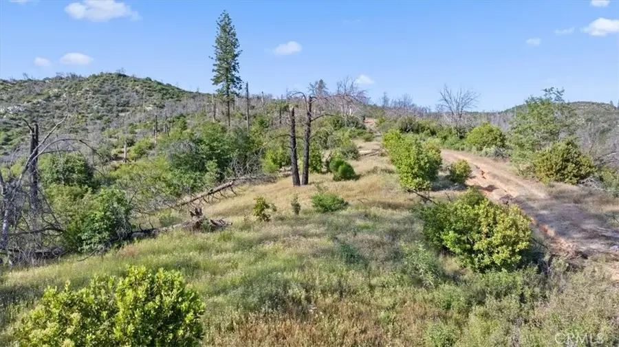 0 Eckards, Berry Creek, CA 95916 - #3