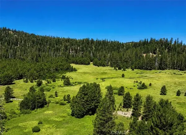 0 Jones Valley, Sierraville, CA 96126
