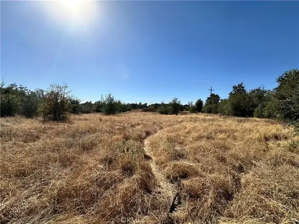 7721 Railroad, Palermo, CA 95968