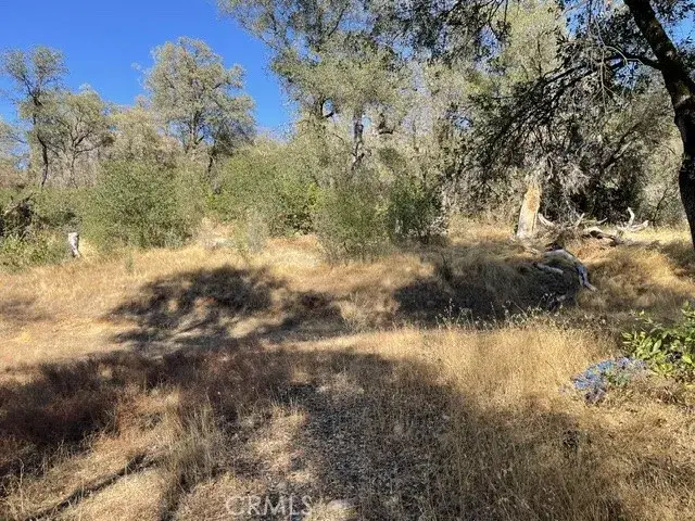 0 Hurleton Swedes Flat, Oroville, CA 95966 - #3