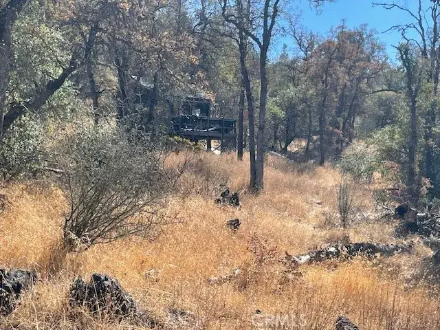 12 Tippy Top Road, Oroville, CA 95965 - #1