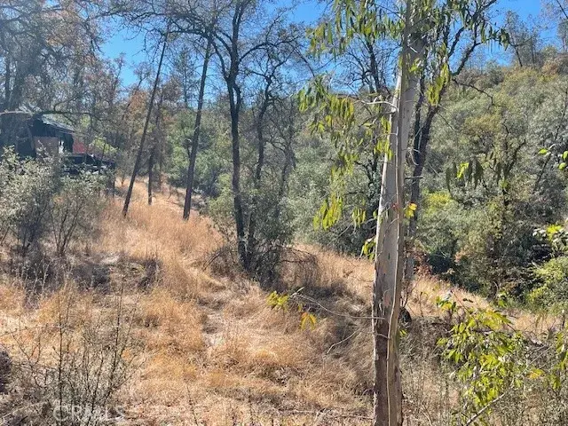 12 Tippy Top Road, Oroville, CA 95965 - #2