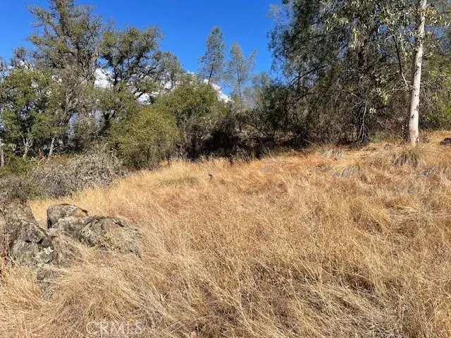 12 Tippy Top Road, Oroville, CA 95965 - #3