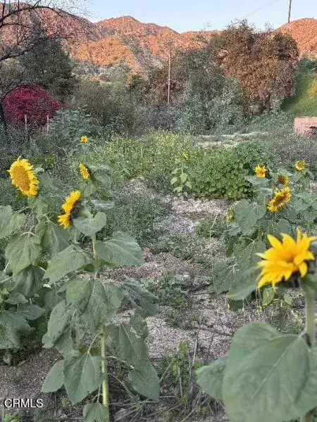 0 Jaxine, Altadena, CA 91001 - #3