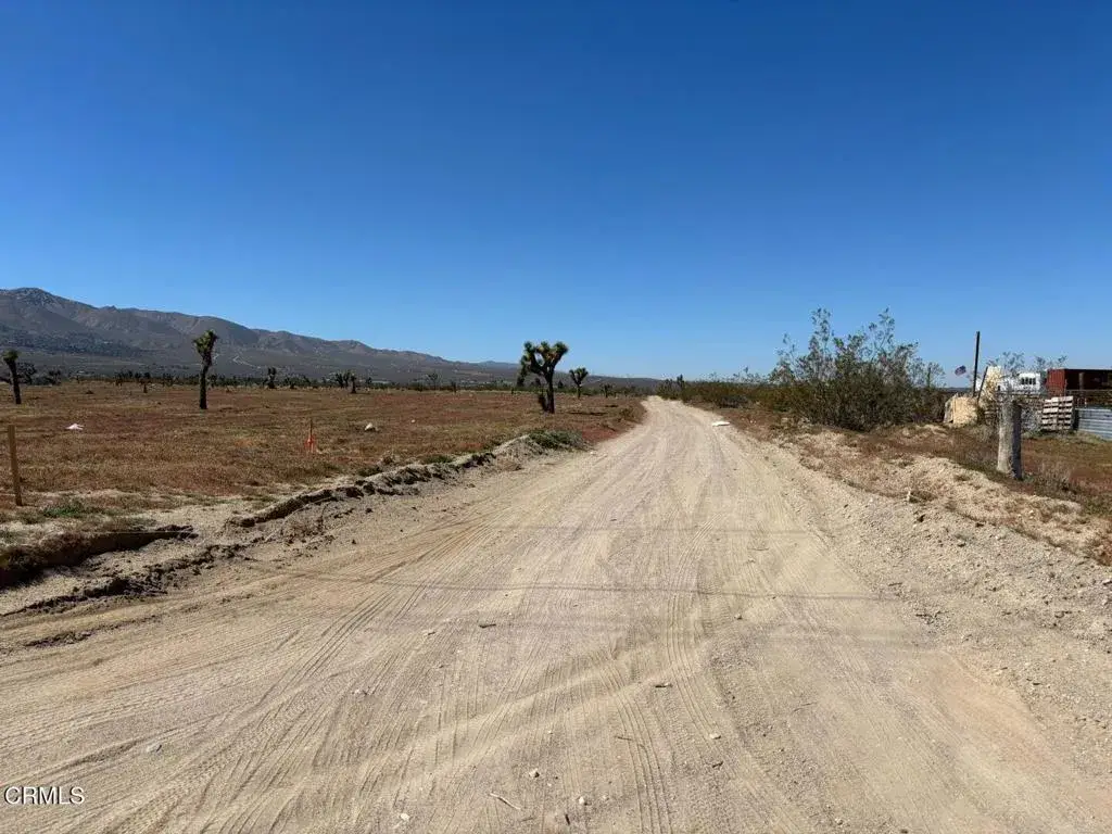 0 Buena Vista, Lucerne Valley, CA 92356 - #1