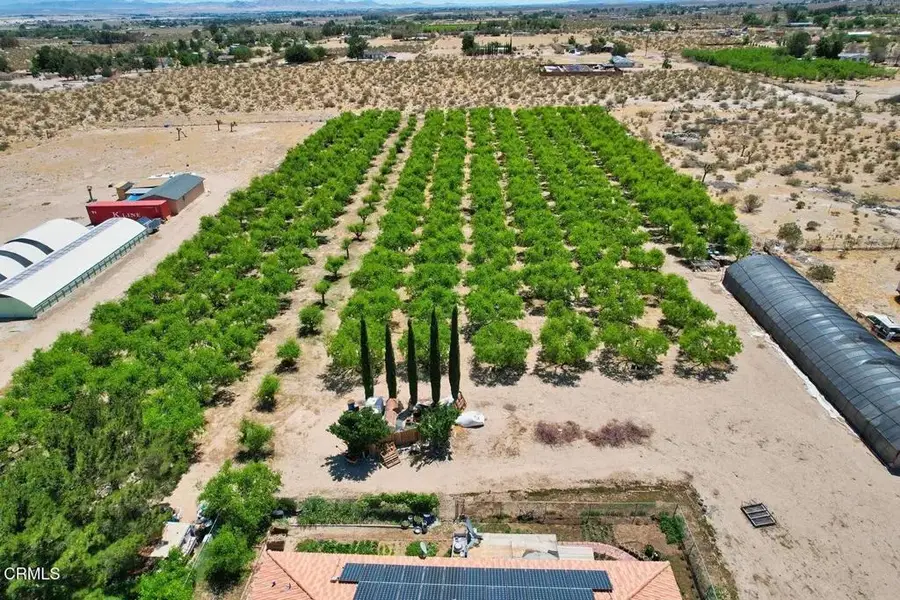 9975 Custer Avenue, Lucerne Valley, CA 92356 - #2