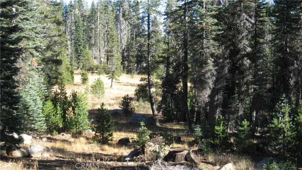 0 Sugar Pine, Yuba Foothills, CA 95972 - Image #1