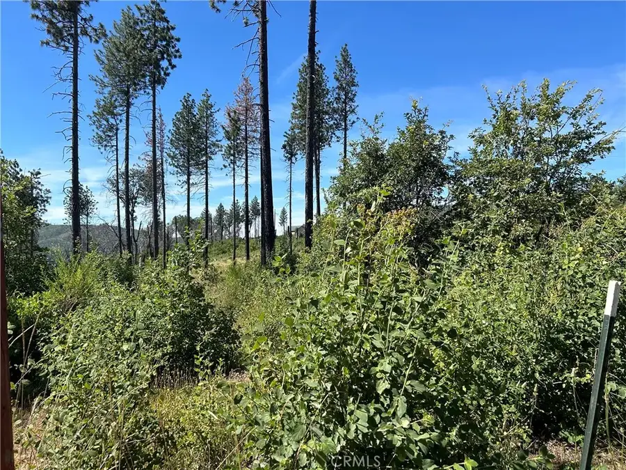 3520 Hoffman, Oroville, CA 95965 - Image #3