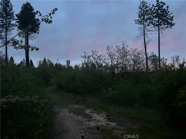 1 Hog Ranch, Concow, CA 94965