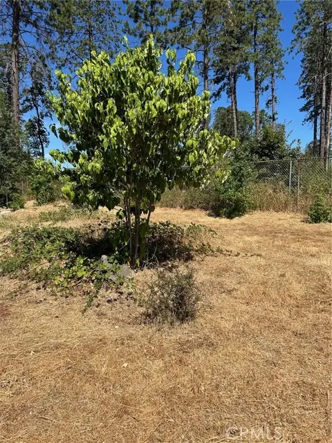 1345 Manhattan, Paradise, CA 95969 - #1