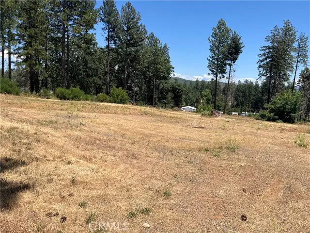 9128 Skyway, Paradise, CA 95969 - #2