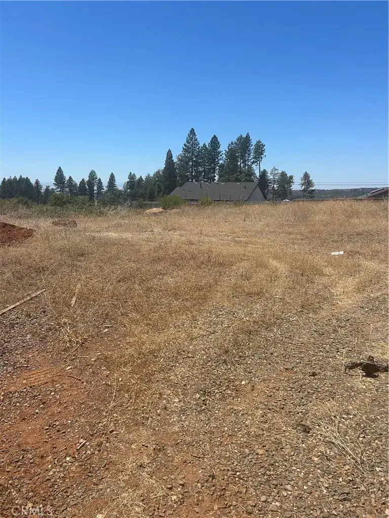 8675 Skyway, Paradise, CA 95969 - #3