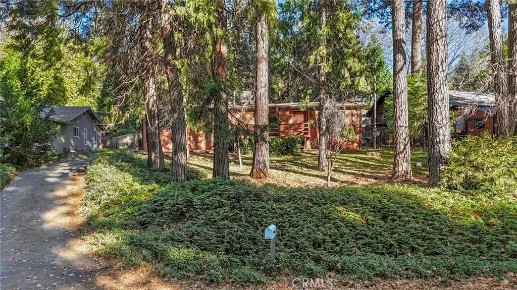 6195 Leicester Drive, Magalia, CA 95954 - #1